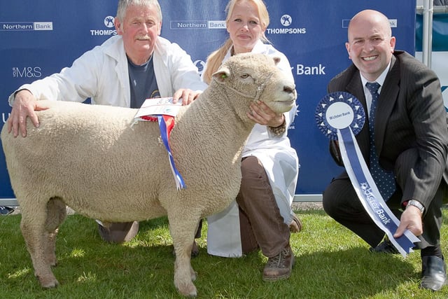 Stephen Kane (right), Ulster Bank agri-development manager, presents Robert McAuley and Claire Squires, Dromore, with the champion rare breeds award at Balmoral Show. Picture: Cliff Donaldson