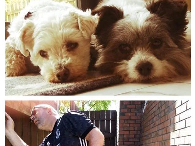 Caroline Hasson: "Grey roots, tired pooches, Mastering Mary Berry cooking skills (debatable) and lots of fence painting. In all fairness we've had it quite easy. My thoughts are with all families who have lost loved ones and huge appreciation to all our front line workers".