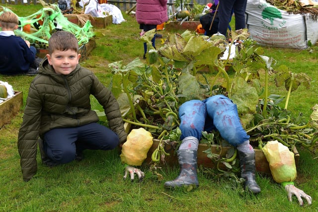 Bunscoil Cholmcille pupil Liam pictured at the judging of the school’s Halloween plant beds competition on Monday afternoon last. DER2143GS – 036