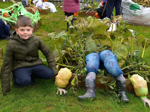Bunscoil Cholmcille pupil Liam pictured at the judging of the school’s Halloween plant beds competition on Monday afternoon last. DER2143GS – 036