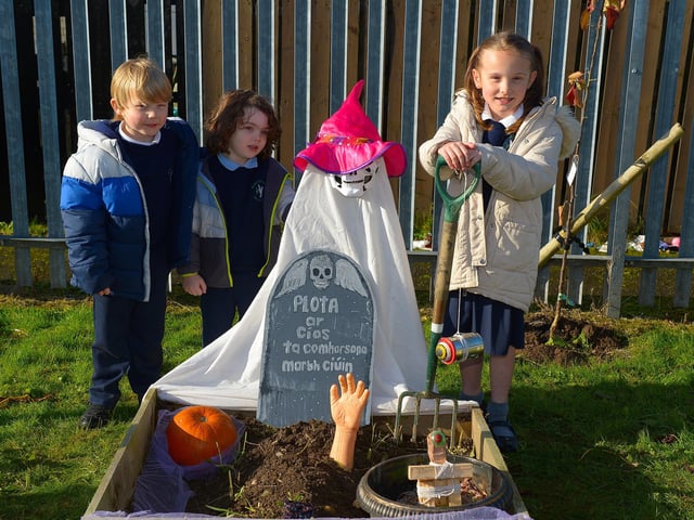 Bunscoil Cholmcille prize winners Finnbar, Donnacha and Ceili pictured with their prize winning bed plant at the school’s Halloween plant beds competition on Monday afternoon last. DER2143GS – 043