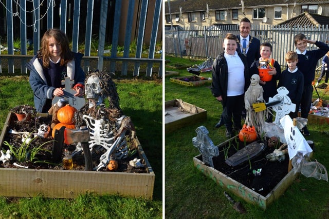 LEFT: Bunscoil Cholmcille pupil Sam pictured with his prize winning bed plant at the school’s Halloween plant beds competition on Monday afternoon last. DER2143GS – 042
RIGHT: Mayor Alderman Graham Warke pictured Bunscoil Cholmcille pupils Kayson, Caiden, Morgan and Caiden at the school’s Halloween plant beds competition on Monday afternoon last. DER2143GS – 041