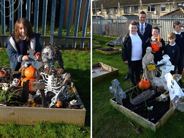 LEFT: Bunscoil Cholmcille pupil Sam pictured with his prize winning bed plant at the school’s Halloween plant beds competition on Monday afternoon last. DER2143GS – 042
RIGHT: Mayor Alderman Graham Warke pictured Bunscoil Cholmcille pupils Kayson, Caiden, Morgan and Caiden at the school’s Halloween plant beds competition on Monday afternoon last. DER2143GS – 041
