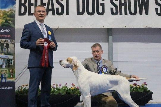 Judge Frank Whyte with the winner of the Gundog Group, Pointer owned by Mrs and Ms O’Neil from Tyne and Wear. Picture: Paul Scanlon