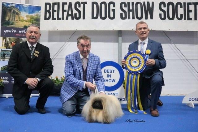 Best in show, Ian Wilson, Bert Easdon and Pekingese Ch Yakee The Contrary Mary and Judge Frank Whyte. Picture: Paul Scanlon