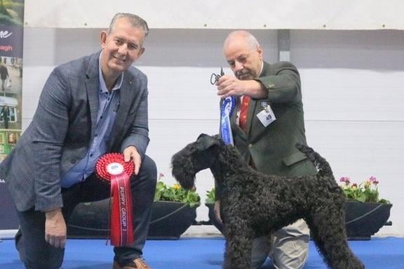 Minister Edwin Poots with Paul Martin from Lurgan and his Kerry Blue, best puppy in Terrier Group. Picture: Paul Scanlon