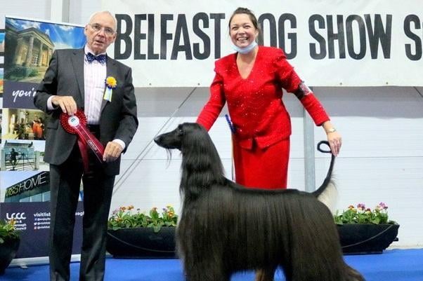 Judge Bill Browne-Cole with winner of the Hound Group, an Afghan Hound owned by Ms Millward, Ferguson and Race from Sheffield. Picture: Paul Scanlon