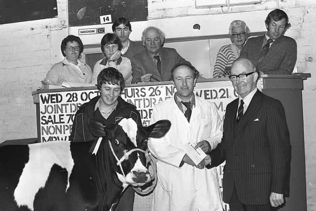 Mr John Gray, managing director of Armaghdown Creameries Ltd, handing over the championship cheque to Fred Duncan from Crumlin at the show and sale at Banbridge in September 1981. With the winning heifer is Fred’s son, Robert. On the rostrum above is auctioneers George Bryson. Picture: Farming Life/News Letter archives