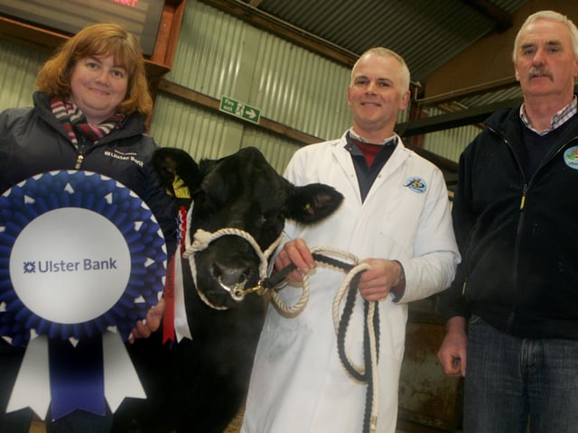 Adrian Sheilds Parthenaise champion with Harry McVicker and Ann Calwell Ulster Bank Picture Steven McAuley/Kevin McAuley Photography Multimedia