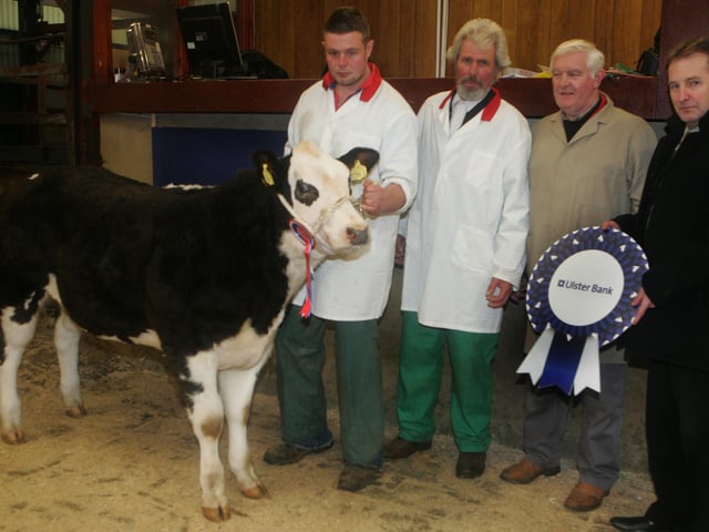 Simmental Champion John Harbinson Fergus Harbinson Andy Patterson sponsor and Eamon McSorley from Ulster Bank Picture Steven McAuley/Kevin McAuley Photography Multimedia