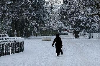 A wintery scene in Peoples Park in Ballymena in December 2010.