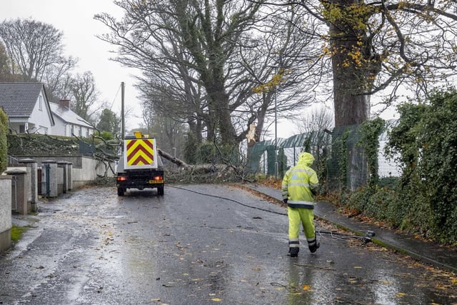 Thousands of customers have been left without power and many roads blocked by trees