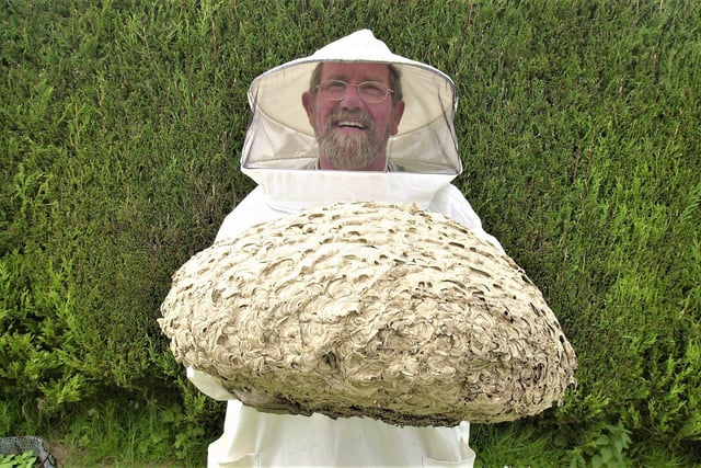 Charlie Page, pest controller, with an absolutely massive wasps' nest.