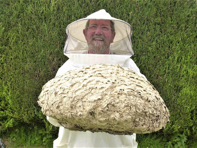 Charlie Page, pest controller, with an absolutely massive wasps' nest.