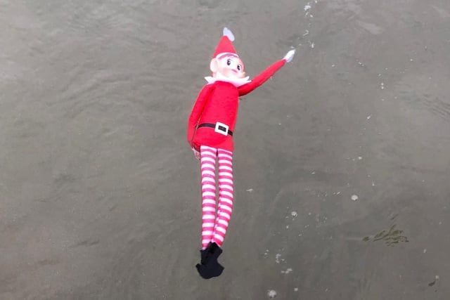 Even the Elf on the Shelf went in for a dip to raise funds for The Olive Branch