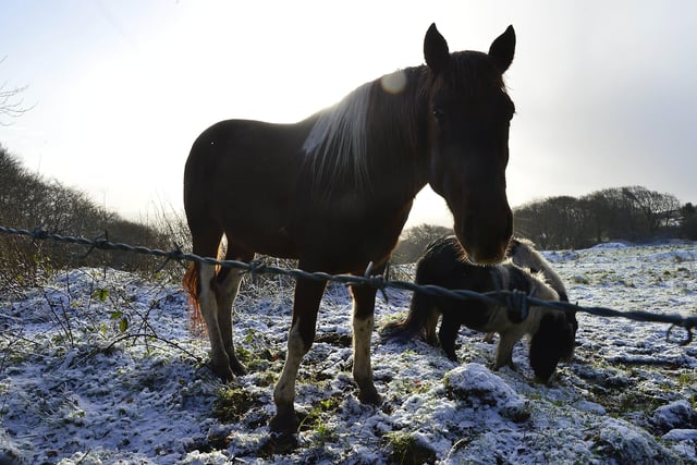 The Met Office issued a yellow weather warning for Friday but snow has already been spotted in some parts of Norther Ireland. Picture By: Arthur Allison/Pacemaker Press.