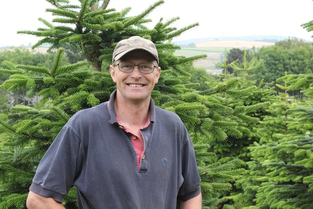 Tony Johnston grows Christmas trees outside Dundonald.
