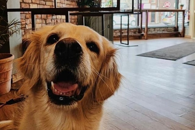 This dog-friendly café is located on south Belfast's Ormeau Road. Favourites include their iced coffee or avocado on toast. Pups are welcome - as depicted in this image from their Instagram.