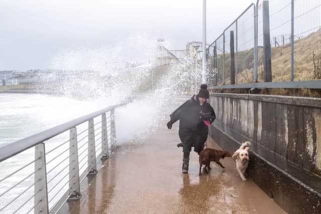 Storm Franklin batters  Portrush on Sunday. Picture: Kirth Ferris/Pacemaker Press