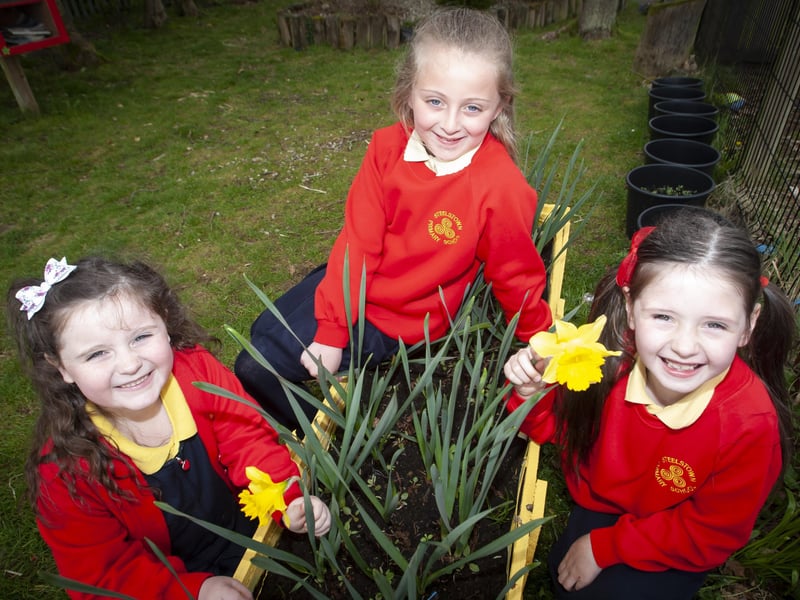 Pupils Faith Gillespie-McCloskey, Farrah Mooney and Niah Barnfield enjoying seeing our flowers bloom in our Eco Garden at Steelstown Primary School this week. (Photos: Jim McCafferty Photography)