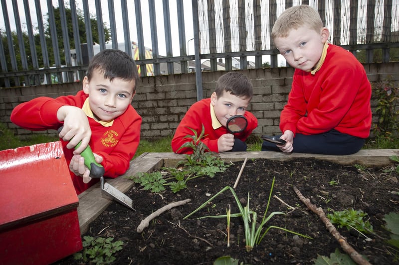 Pupils Matis McCarron, Ronan Stewart and Jacob McCollum using their Forest School skills at Steelstown Primary School this week.