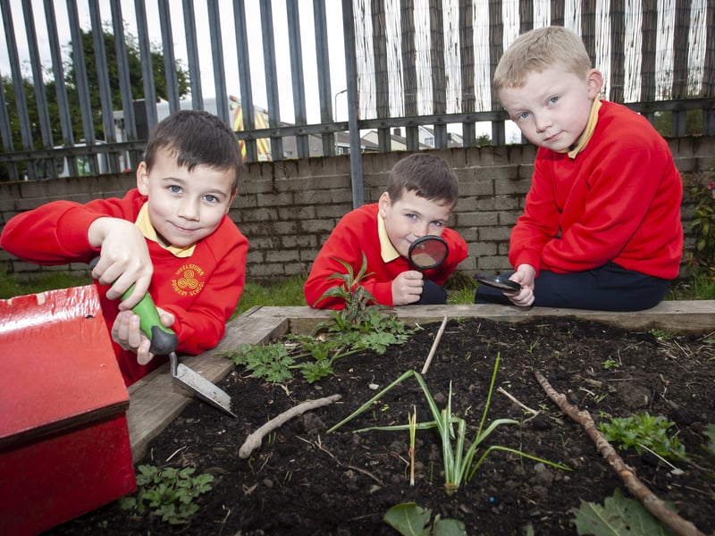 Pupils Matis McCarron, Ronan Stewart and Jacob McCollum using their Forest School skills at Steelstown Primary School this week.
