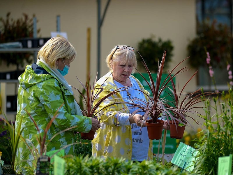 Customers browsing in the Altnagelvin Garden and Pet Centre after it reopened following recent easing of lockdown restrictions. Photos: George Sweeney. DER2115GS – 036