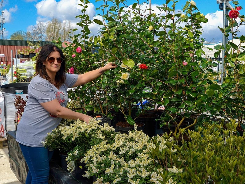 Alison Quinn prepares a display in the Springrowth Landscape and Garden Centre, Springtown, after the recent easing of lockdown restrictions. Photos: George Sweeney. DER2115GS – 023
