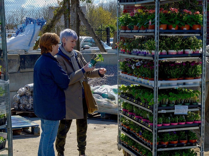 Customers shop for garden plants at the Springrowth Landscape and Garden Centre which has reopened after the recent easing of lockdown restrictions. DER2115GS – 026