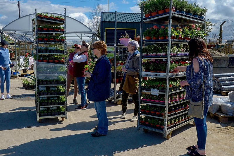 The Springrowth Landscape and Garden Centre is busy after the recent easing of lockdown restrictions. DER2115GS – 027