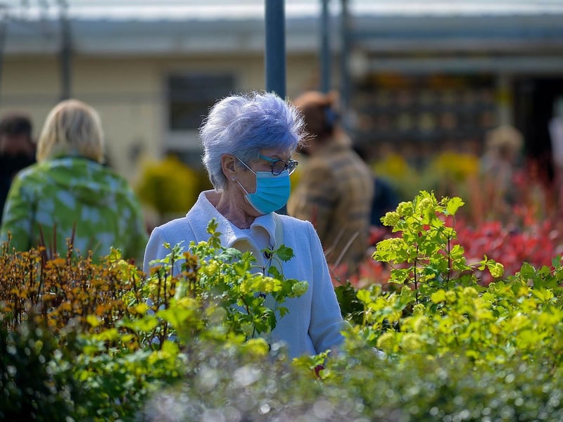 A customer browsing in the Altnagelvin Garden and Pet Centre after it reopened following recent easing of lockdown restrictions. Photos: George Sweeney. DER2115GS – 032