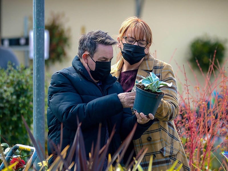 Customers selecting garden plants at the Altnagelvin Garden and Pet Centre after it reopened following recent easing of lockdown restrictions. DER2115GS – 033