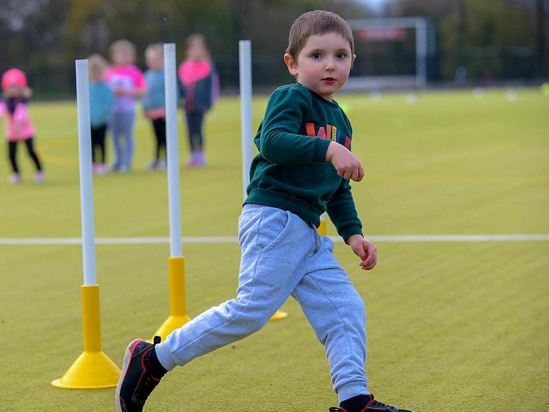 Doire Trasna ‘s Rossa at nursery training recently at the Foyle Arena. DER2115GS – 055