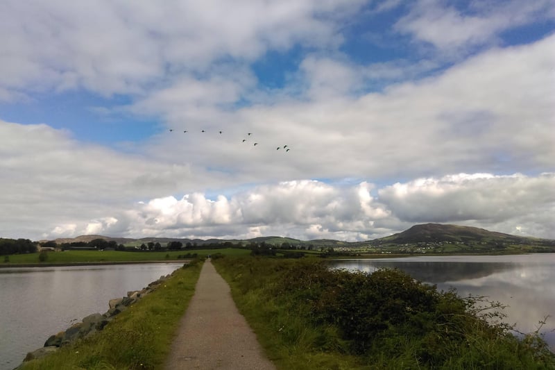 Inch Levels and Bird Sanctuary, Inch, Burt, Donegal.