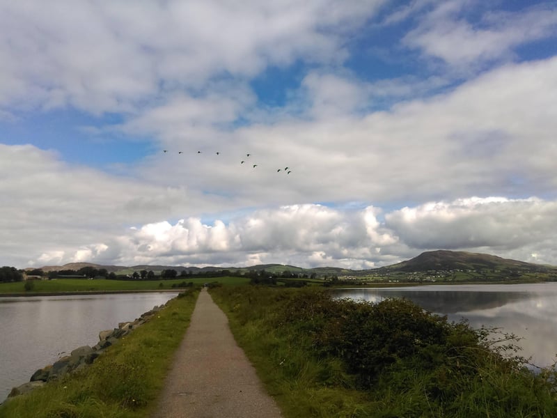 Inch Levels and Bird Sanctuary, Inch, Burt, Donegal.