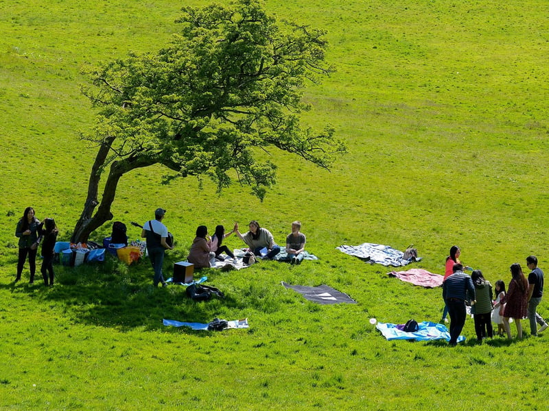 A stunning picture of a picnic and a song in St Columb’s Park during one of the sunnier days earlier this month afternoon last. DER2120GS – 011