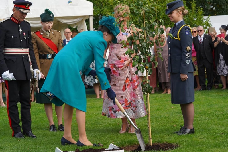 Her Royal Highness the Princess Royal plants a tree at a Garden Party in Hillsborough Castle.  Photo by Aaron McCracken