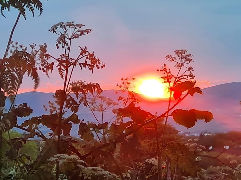 Helen Ward - Beautiful evening sunset, no filter needed