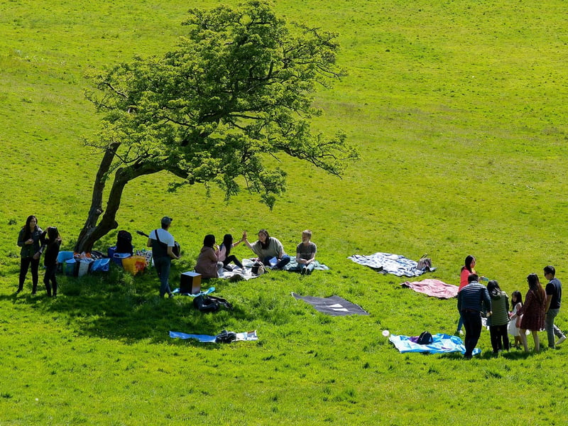 A stunning picture of a picnic and a song in St Columb’s Park during one of the sunnier days earlier this month afternoon last. DER2120GS – 011