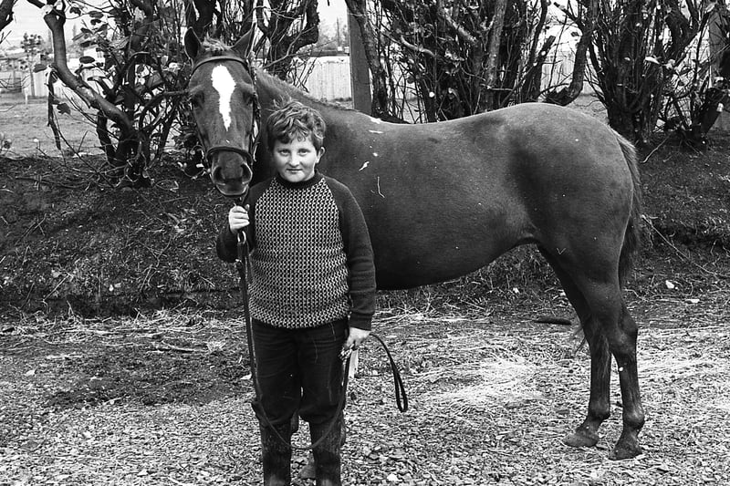 Ten-year-old Connor McCormick from Saintfield with his 11.2 pony Lucky Strike which won the overall brood mare championship at the Balmoral Show in May 1981. Picture: News Letter/Farming Life archives