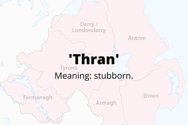 26 words used by some people in Northern Ireland everyday without even knowing.
