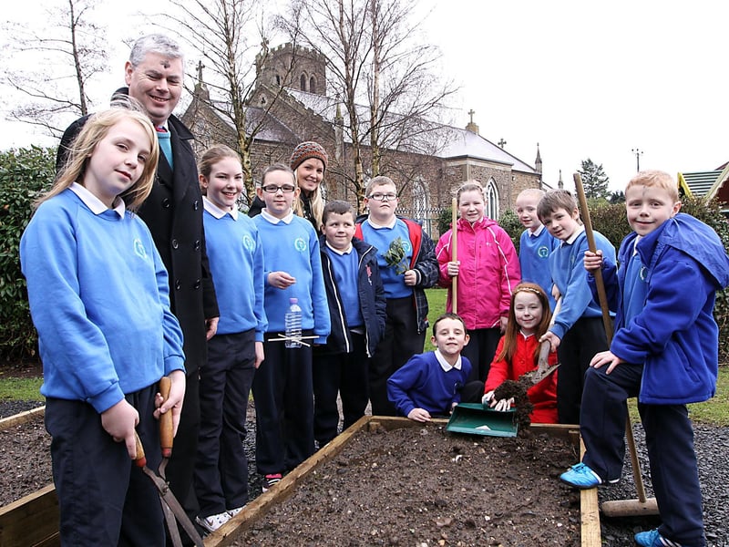 Members of the Termoncanice Primary Schools Eco Committee pictured working on one of the schools grounds raised beds under the guidance of Mr Sean Quigley the schools World around us co-ordinator and Mrs Grainne Bradley assistant co-ordinator Pupil in P3 to P7 have formed the commitee. INLV0713-353KDR
