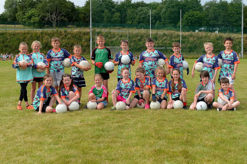 Some of the boys and girls who took part in the Doire Trasnas  Cúl Camp held at Corrody Road, earlier this week.(Photo: George Sweeney). DER2129GS - 022