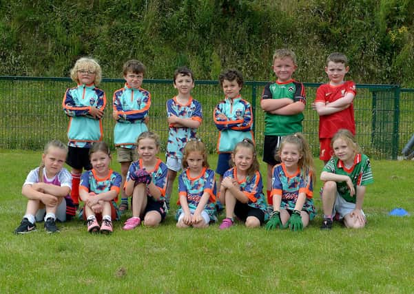 Some of the kids who took part in Doire Trasnas  Cúl Camp held at Corrody Road, earlier this week. (Photo: George Sweeney). DER2129GS -018