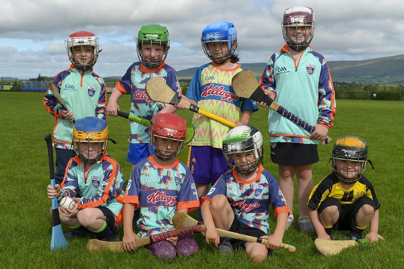 Some of the Primary 1 and 2 children who attended the recent Cul Camp at Na Magha Hurling Club. Photos: George Sweeney. DER2128GS - 029