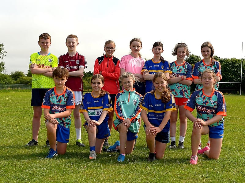 Boys and girls who took part in the recent Brian Ogs Cúl Camp at Páirc Brid. DER2129GS - 048