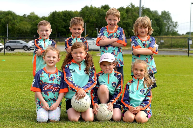 Boys and girls who took part in the recent Brian Ogs Cúl Camp at Páirc Brid. (Photos: George Sweeney). DER2129GS - 040