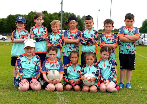 Children who took part in the recent Brian Ogs Cúl Camp at Páirc Brid. DER2129GS - 038