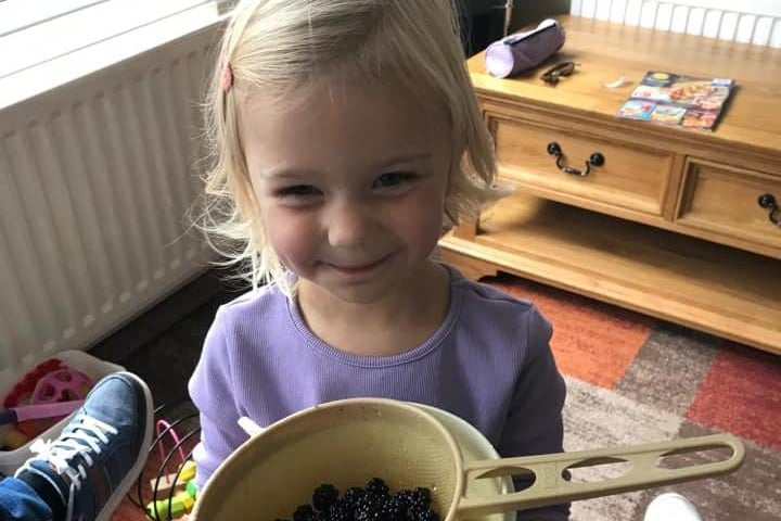 Kylie Porter sent us this wonderful photo of Molly Porter, who spent Monday blackberry picking with her nanny around the Civic Centre ready to make some jam. Great work Molly!
