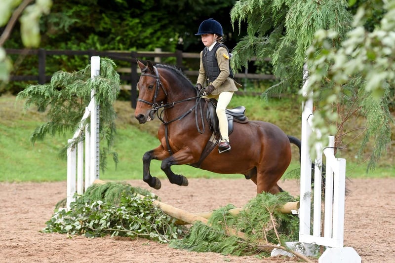Taylor Lee Doyle riding Jack-A-Roo, winner of the unassisted cross pole class and mini working hunter champion